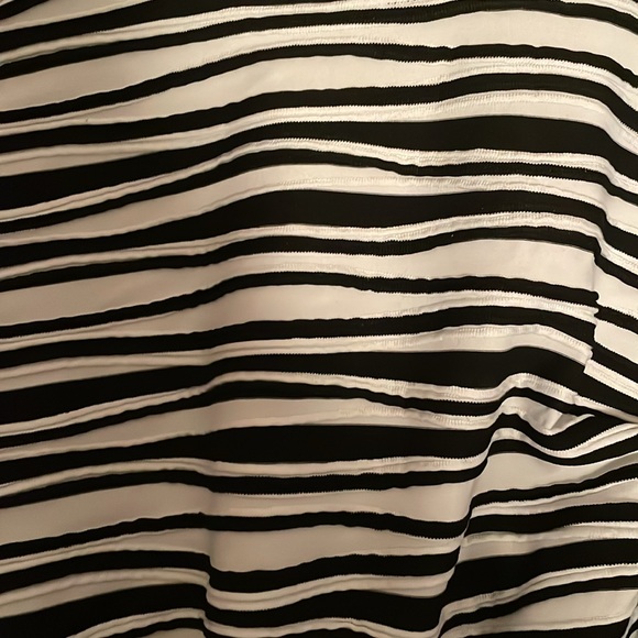 Zebra Stripe Scuba Skater Skirt - Picture 4 of 5